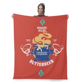 Warner Bros. Harry Potter Leaky Cauldron Silk Touch Throw Blanket 60X80 Inches